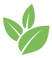 Buzz Knotweed Removal