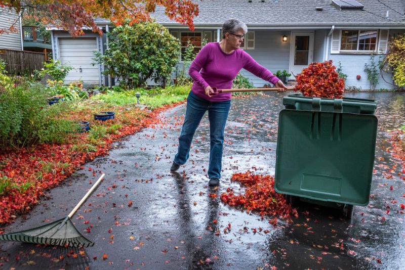Fall Yard Cleanup Crew