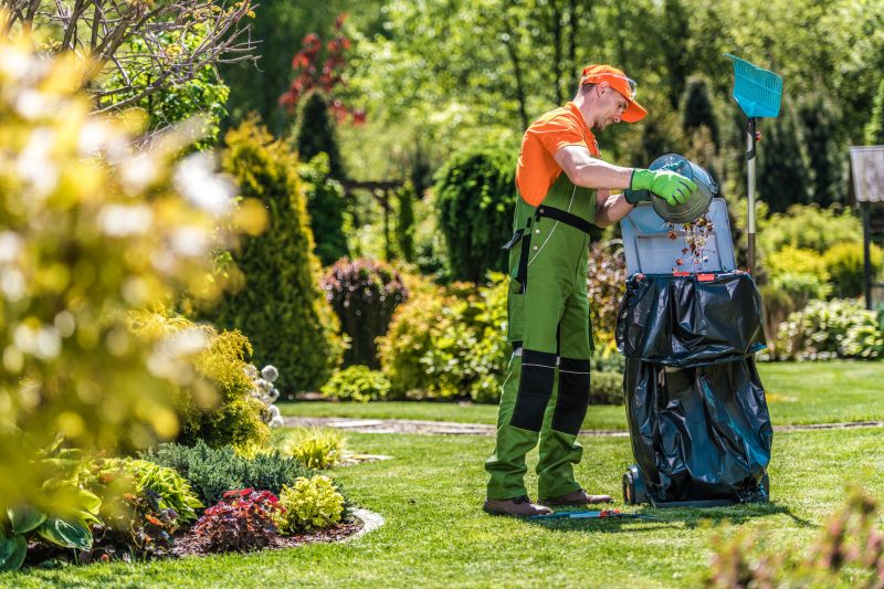 Lawn Health Maintenance