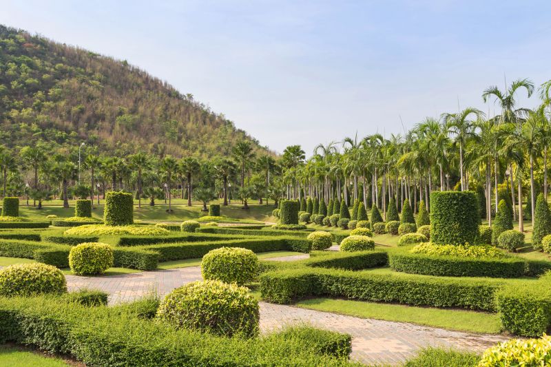 Garden with Trimmed Shrubs